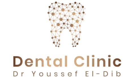 Dr Youssef El-Dib